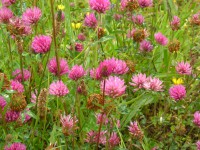 /album/decouvertes-en-balade/garderes2010-030-jpg/